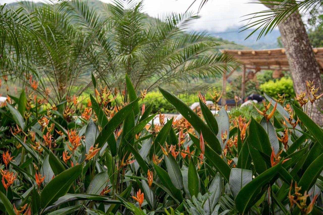 Hotel Nativa Refugio Escondido Santa Fe de Antioquia Exterior foto